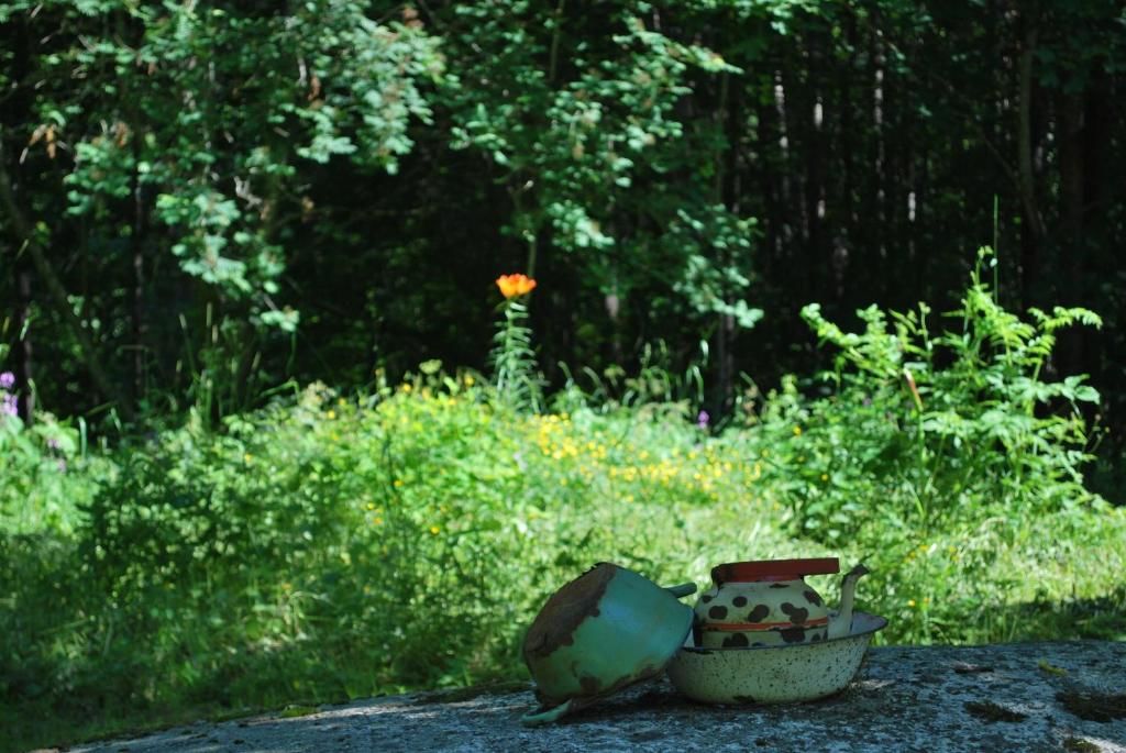 Гостевой дом Kirjakkalan Ruukkikylä Teijo